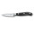 Nôž na ovocie a zeleninu 8 cm Victorinox Grand Maitre - Victorinox-Grand-Maitre-Nôž-na-ovocie-a-zeleninu-8-cm- - variant Vi 7.7203.08G