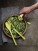 Reklamnepredmety Tulip salad set sada na salát