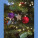 Bambusová hviezda - 9317313_lifestyle_1 - variant M 9317313