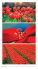 Nástenný kalendár Colours 2024 - N27-24_VN - variant Sp N27-24
