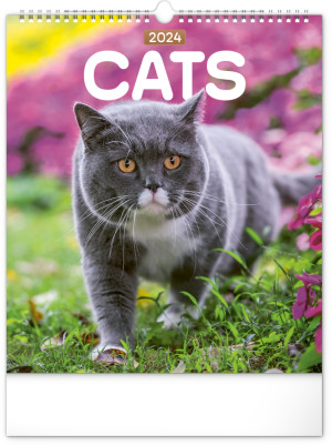 Nástenný kalendár Mačky 2024 - Reklamnepredmety