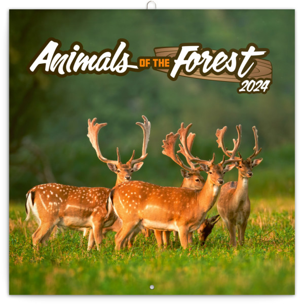 Poznámkový kalendár Zvieratká z lesa 2024