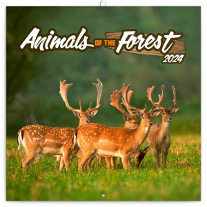 Poznámkový kalendár Zvieratká z lesa 2024 - Reklamnepredmety
