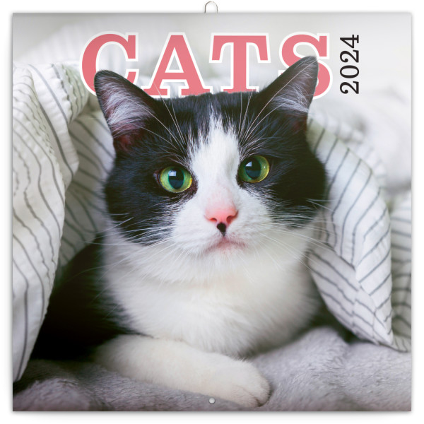 Poznámkový kalendár Mačky 2024