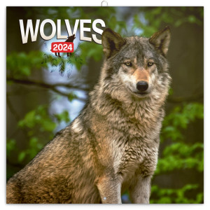 Poznámkový kalendár Vlky 2024 - Reklamnepredmety