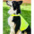 Bezpečnostná vesta pre psov KTH100 - Buenos Aires - image-346115 - variant 