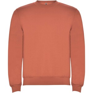 Clasica detský sveter s výstrihom crewneck — 1/2