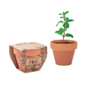 Malý kvetináč so semenami mäty MINT POT - Reklamnepredmety