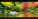 Kalendár Panoramaphoto - N261-27_010 - variant He N261-27