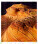Kalendár Geo Art - N265-27_012 - variant He N265-27