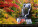 Kalendár Landscapes - N128-27_011 - variant He N128-27