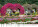 Kalendár Gardens - N130-27_002 - variant He N130-27