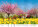Kalendár Gardens - N130-27_004 - variant He N130-27