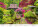 Kalendár Gardens - N130-27_006 - variant He N130-27
