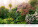 Kalendár Gardens - N130-27_007 - variant He N130-27