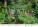 Kalendár Gardens - N130-27_009 - variant He N130-27