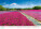 Kalendár Via - N133-27_005 - variant He N133-27