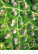 Kalendár World from Above - N139-27_006 - variant He N139-27