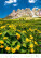 Kalendár Nature Emotions - N140-27_006 - variant He N140-27