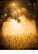 Kalendár Nature Emotions - N140-27_008 - variant He N140-27