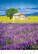 Kalendár Provence - N142-27_005 - variant He N142-27