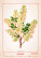 Kalendár Herbarium - N144-26_001 - variant He N144-26