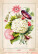 Kalendár Herbarium - N144-27_007 - variant He N144-27