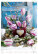 Kalendár Magic Flowers - N145-27_002 - variant He N145-27