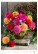Kalendár Magic Flowers - N145-27_011 - variant He N145-27