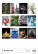 Kalendár Colour Art - N148-27_014 - variant He N148-27