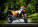 Kalendár Motorbikes - N154-27_004 - variant He N154-27
