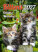 Kalendár Mačičky - N180-27_013 - variant He N180-27