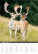 Kalendár Na muške... - N308-27_008 - variant He N308-27