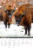 Kalendár Na muške... - N308-27_012 - variant He N308-27