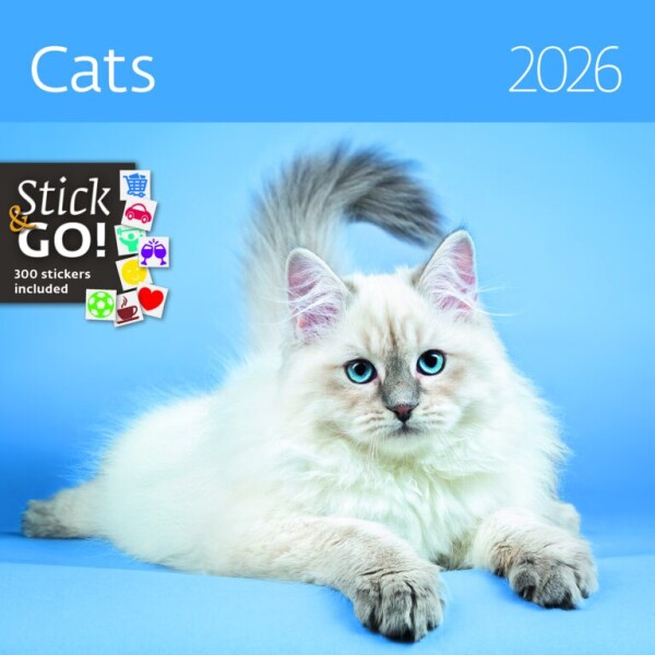 Kalendár Cats