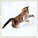 Kalendár Cats - LP01-27_001 - variant He LP01-27