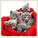 Kalendár Cats - LP01-27_003 - variant He LP01-27