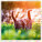 Kalendár Cats - LP01-27_005 - variant He LP01-27