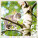 Kalendár Cats - LP01-27_007 - variant He LP01-27