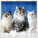 Kalendár Cats - LP01-27_009 - variant He LP01-27