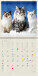 Kalendár Cats - LP01-27_015 - variant He LP01-27