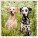 Kalendár Dogs - LP02-27_007 - variant He LP02-27