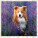 Kalendár Dogs - LP02-27_008 - variant He LP02-27