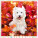 Kalendár Dogs - LP02-27_011 - variant He LP02-27