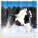 Kalendár Horses - LP03-27_001 - variant He LP03-27