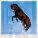 Kalendár Horses - LP03-27_002 - variant He LP03-27