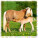 Kalendár Horses - LP03-27_004 - variant He LP03-27