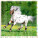 Kalendár Horses - LP03-27_006 - variant He LP03-27