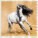 Kalendár Horses - LP03-27_011 - variant He LP03-27