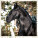 Kalendár Horses - LP03-27_012 - variant He LP03-27